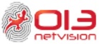 013 Netvision