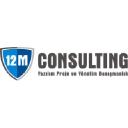 12m Consulting