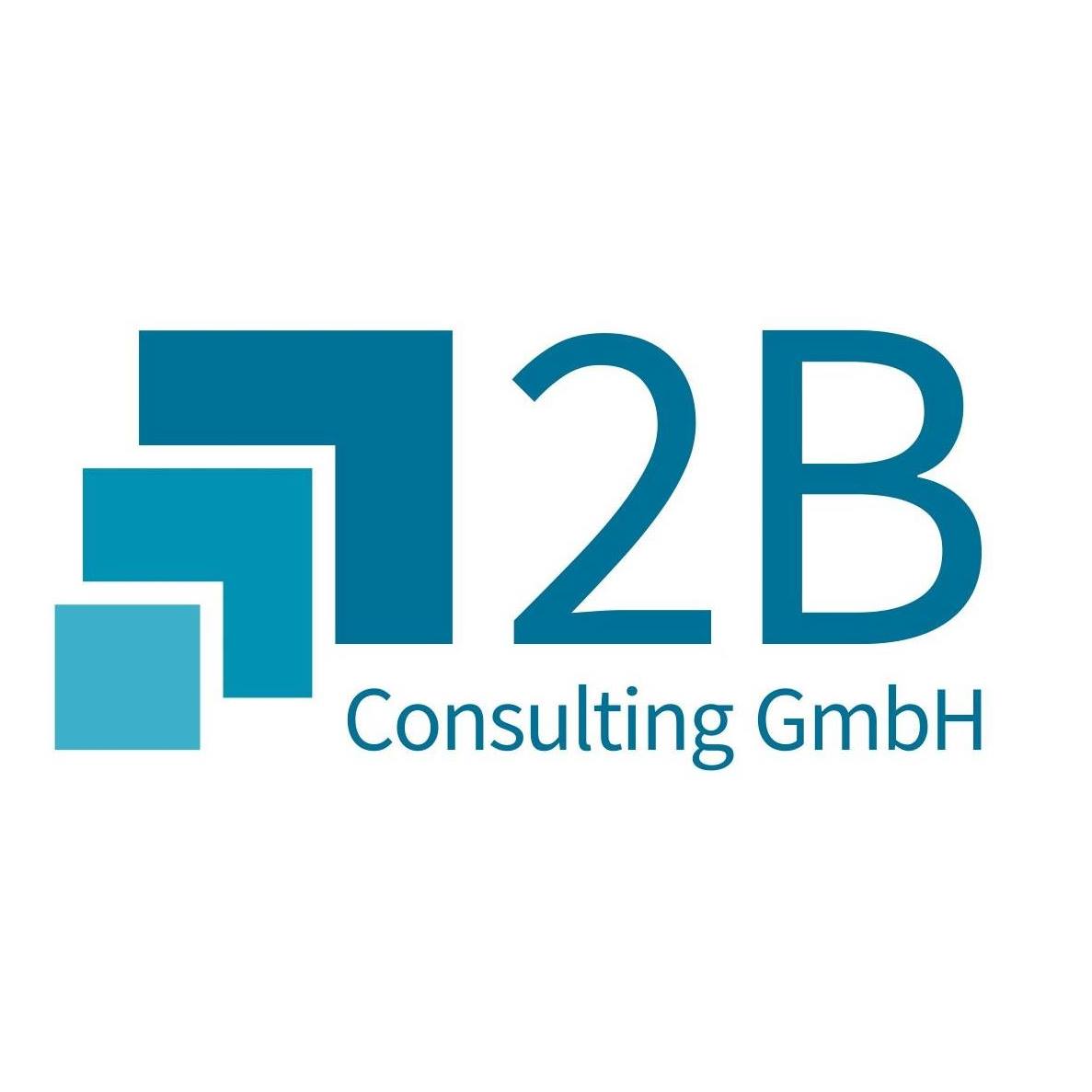 2B Consulting