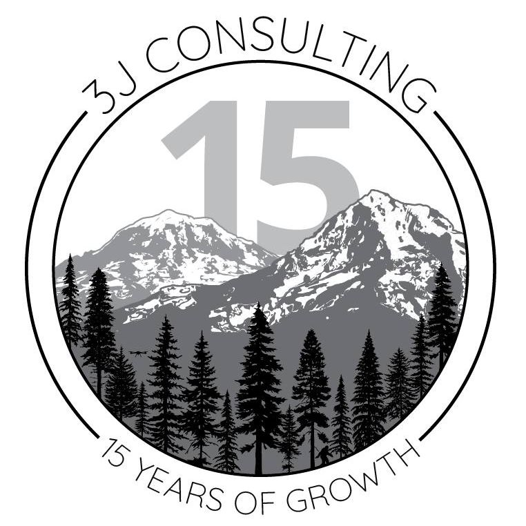 3J Consulting