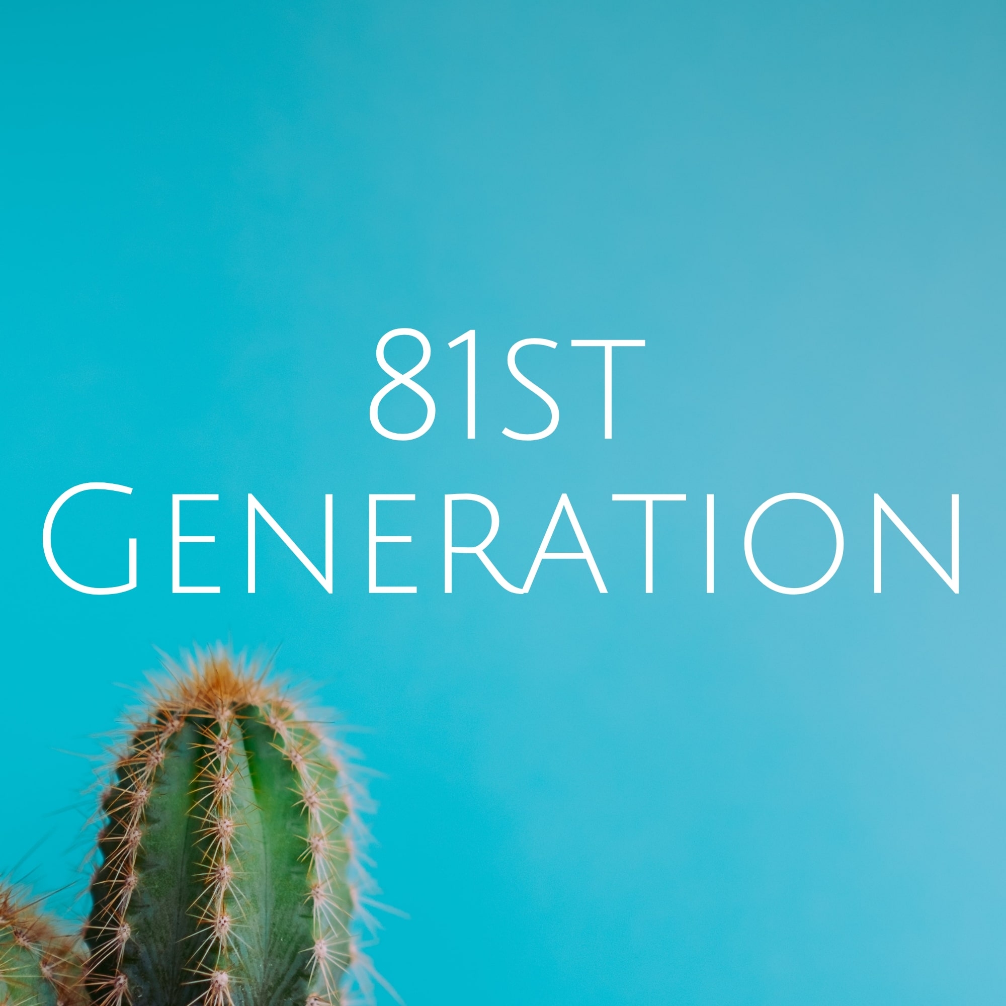 81stGeneration