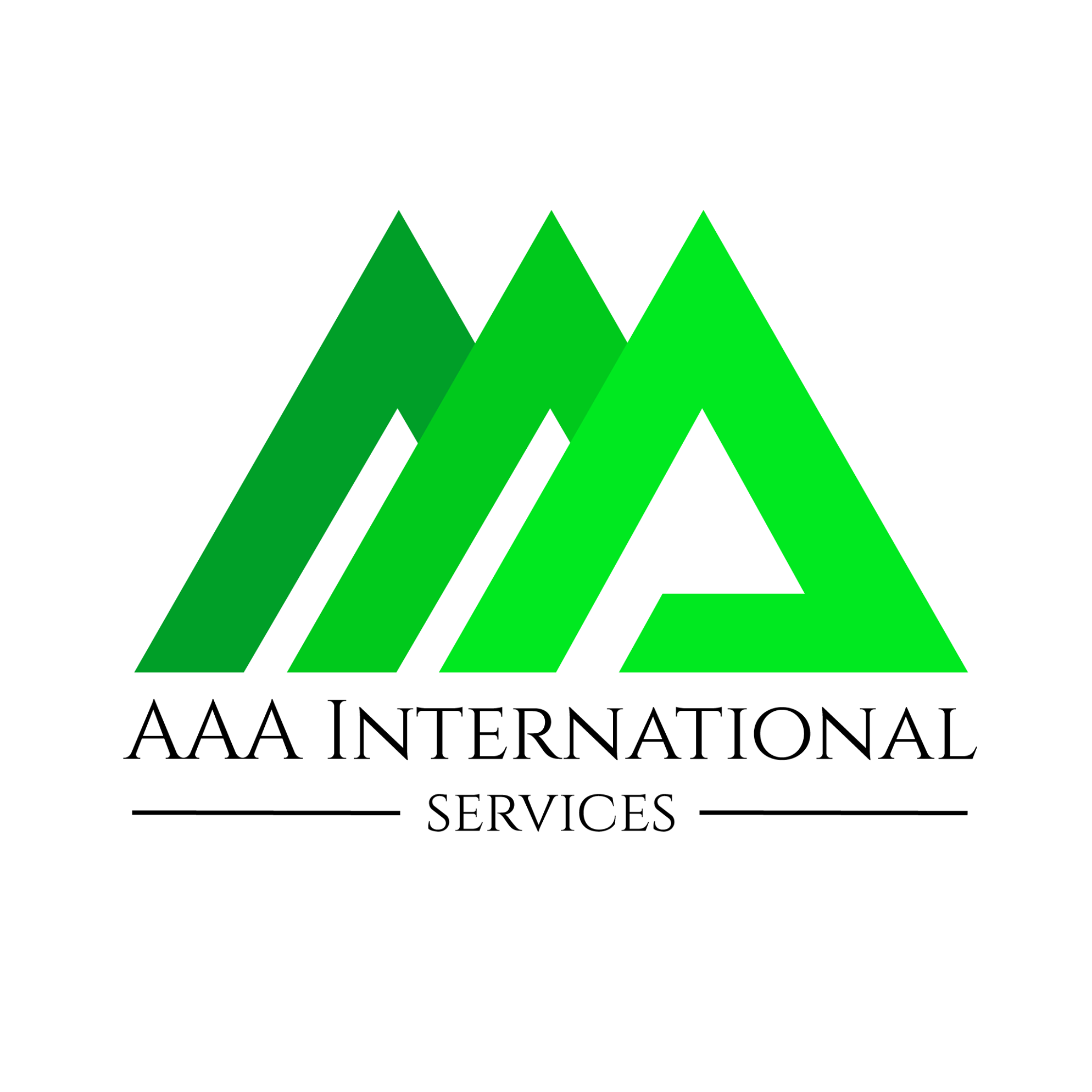 AAA INTERNATIONAL SERVICES