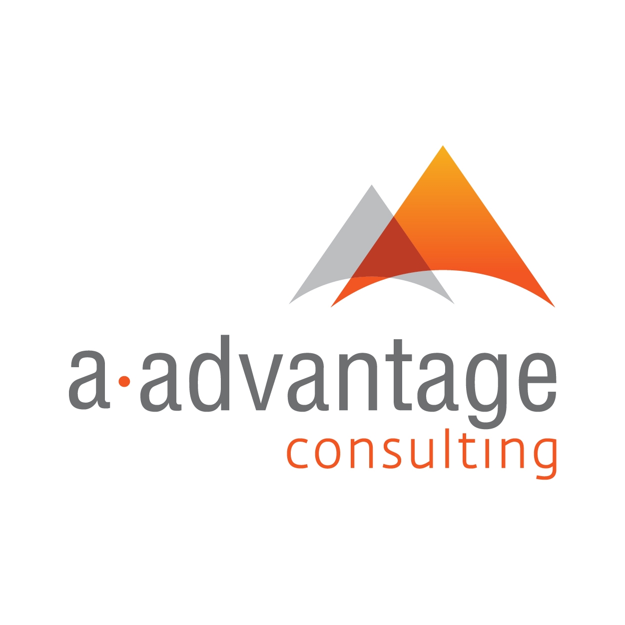 aAdvantage Consulting Group