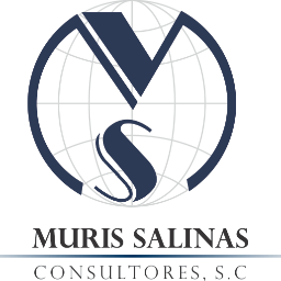 Muris Salinas Consultores