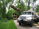 Abbott Tree Care Professionals