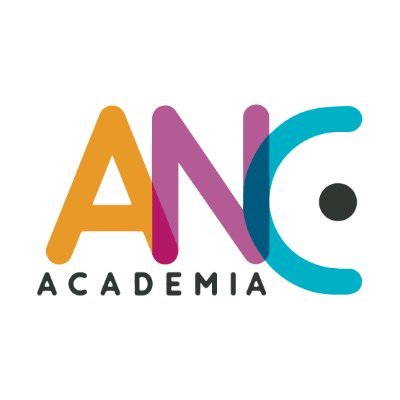 Academia Nueva Castilla