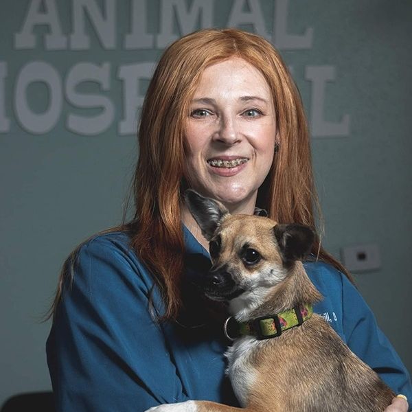 Academy Animal Hospital