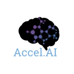 Accel.AI Institute