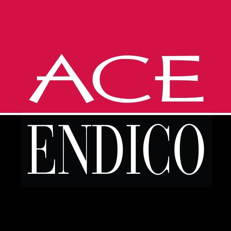 Ace Endico Corporation