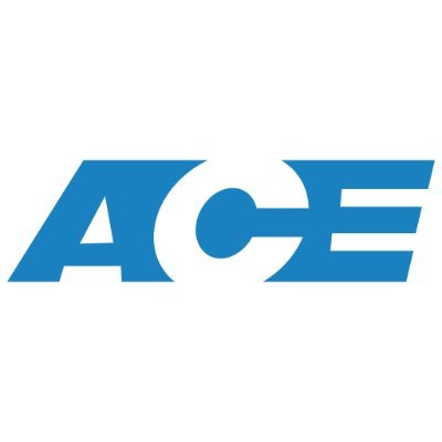 ACE MULTIFREIGHT LOGISTICS PVT