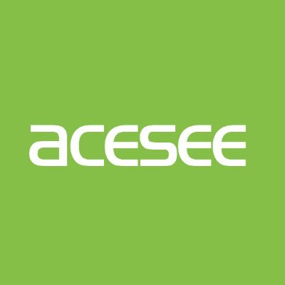 ACESEE Security