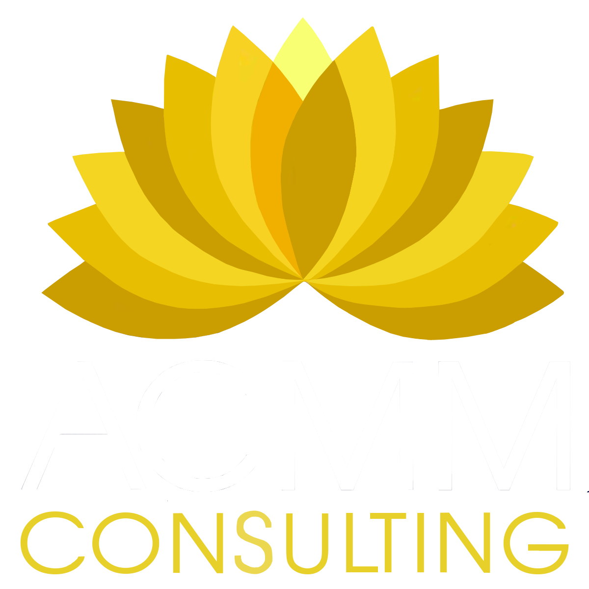 ACMM Consulting