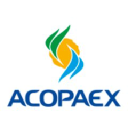 Acopaex