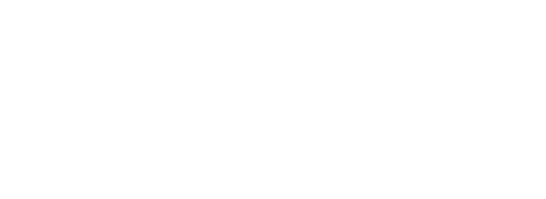 The Active Organisation