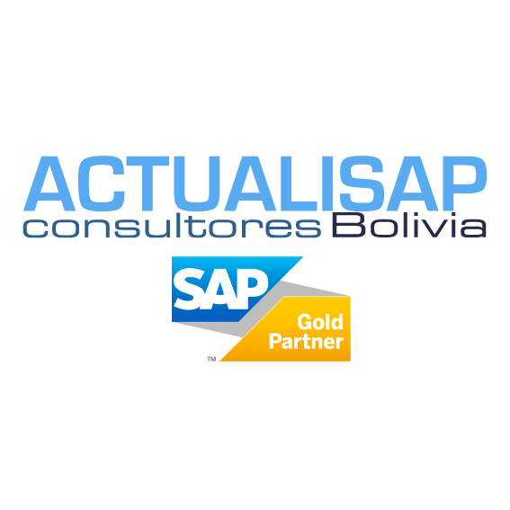 Actualisap Consultores Bolivia