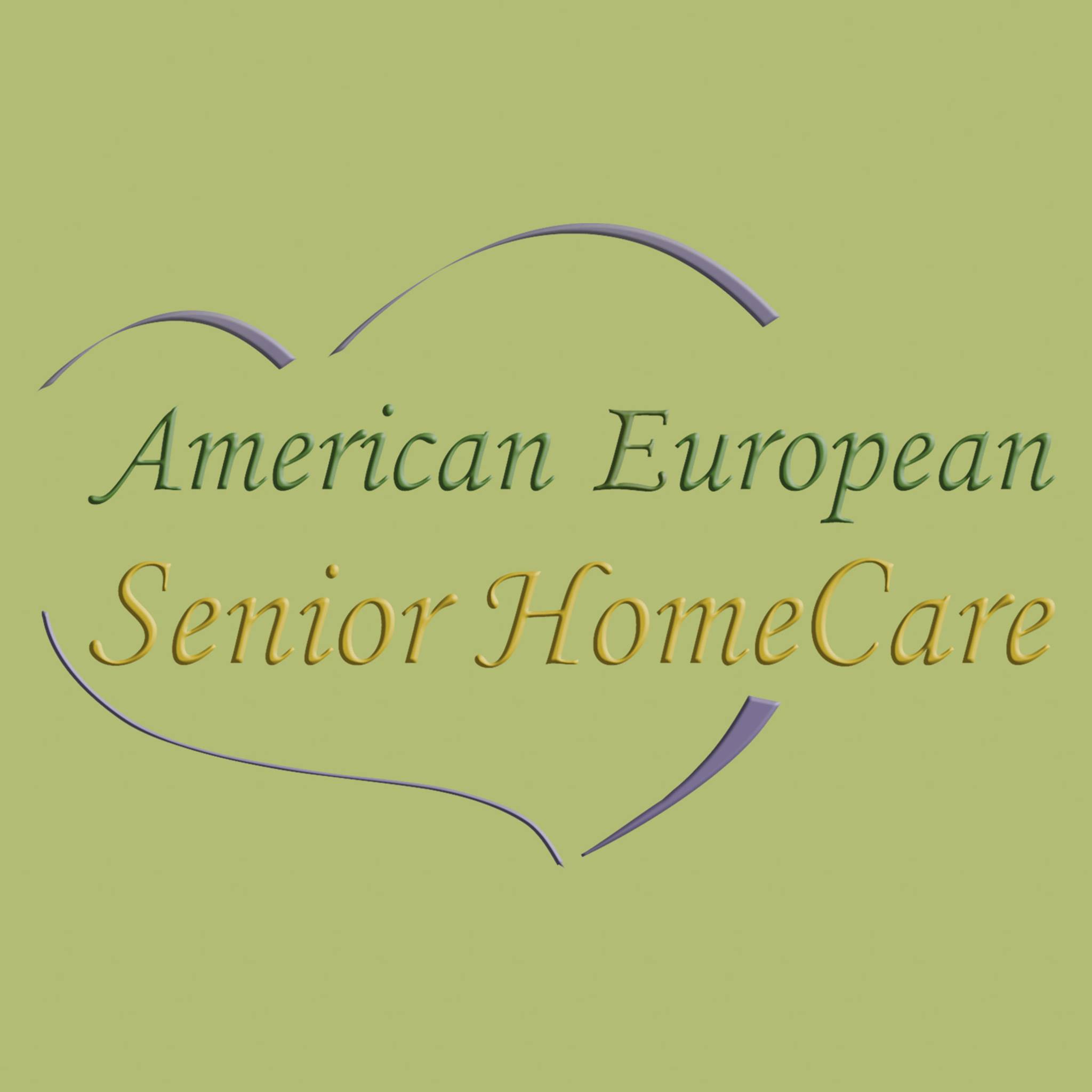 American European Senior Home Care