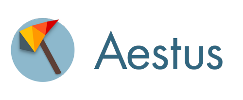 Aestus Llc