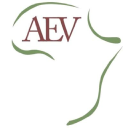 AEV Group