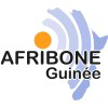 Afribone Guinée