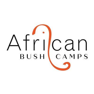 African Bush Camps