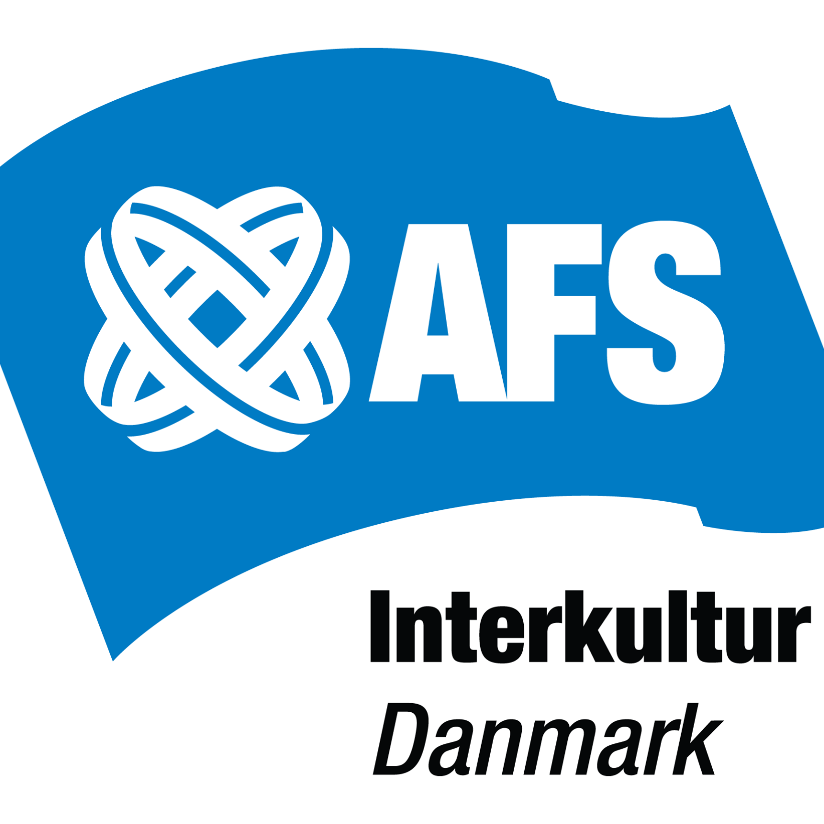 Afs Interkultur