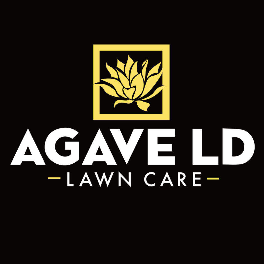 Agave LD