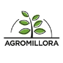 Agromillora Sur S A