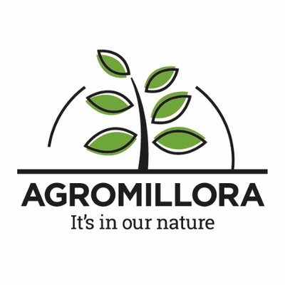 Agromillora