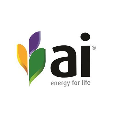 AI ENERGY GROUP