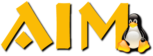 AIM IT Services