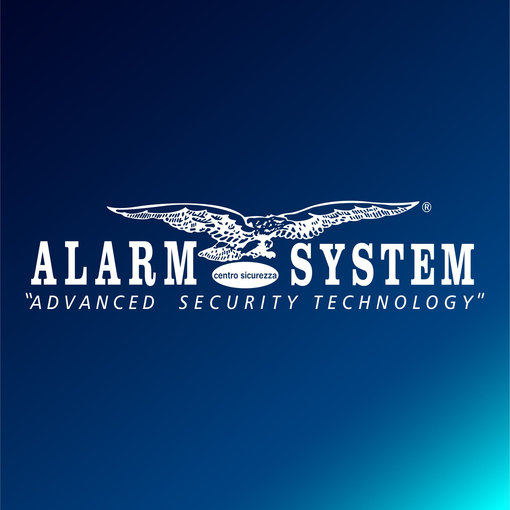 Alarm System Srl