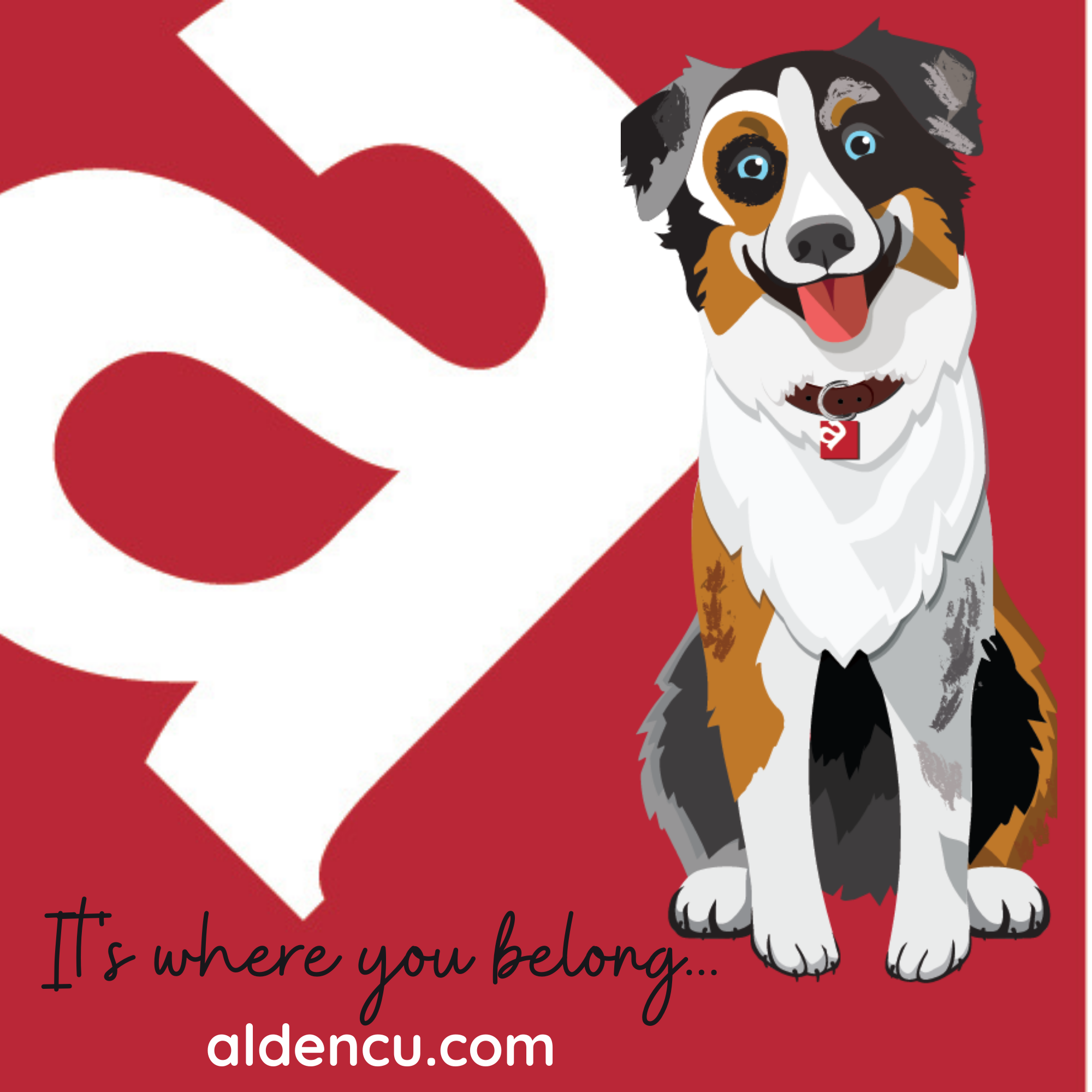 Alden Credit Union