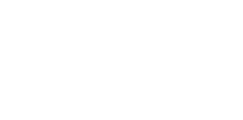 Alitu