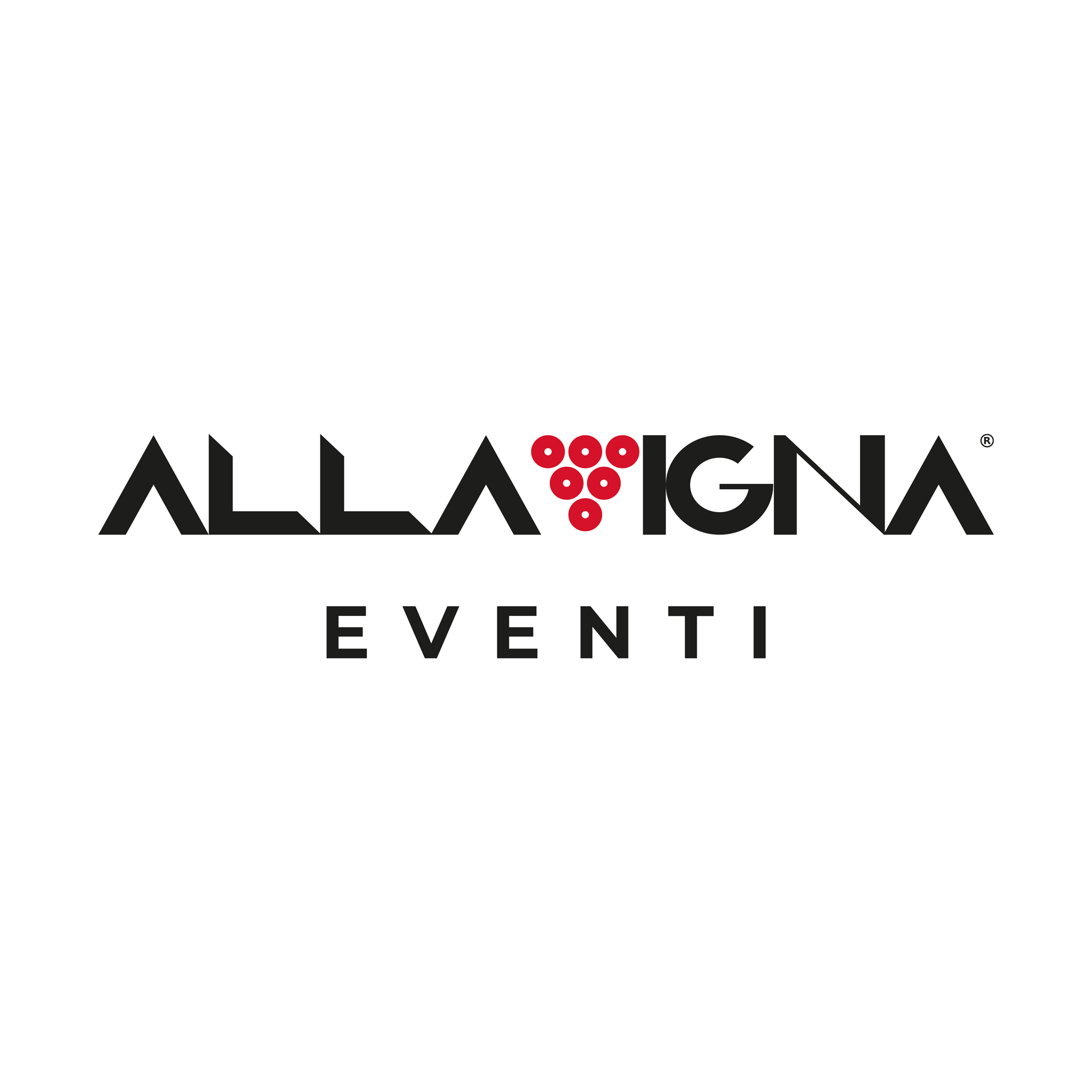 Alla Vigna Eventi