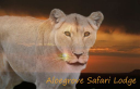 Aloegrove Safari Lodge