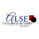 Alse Consultoría De Saltillo