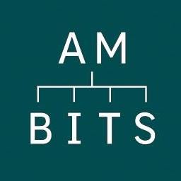 AM-BITS LLC AM-BITS LLC