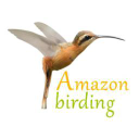 Amazon Birding