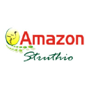 Amazon Struthio