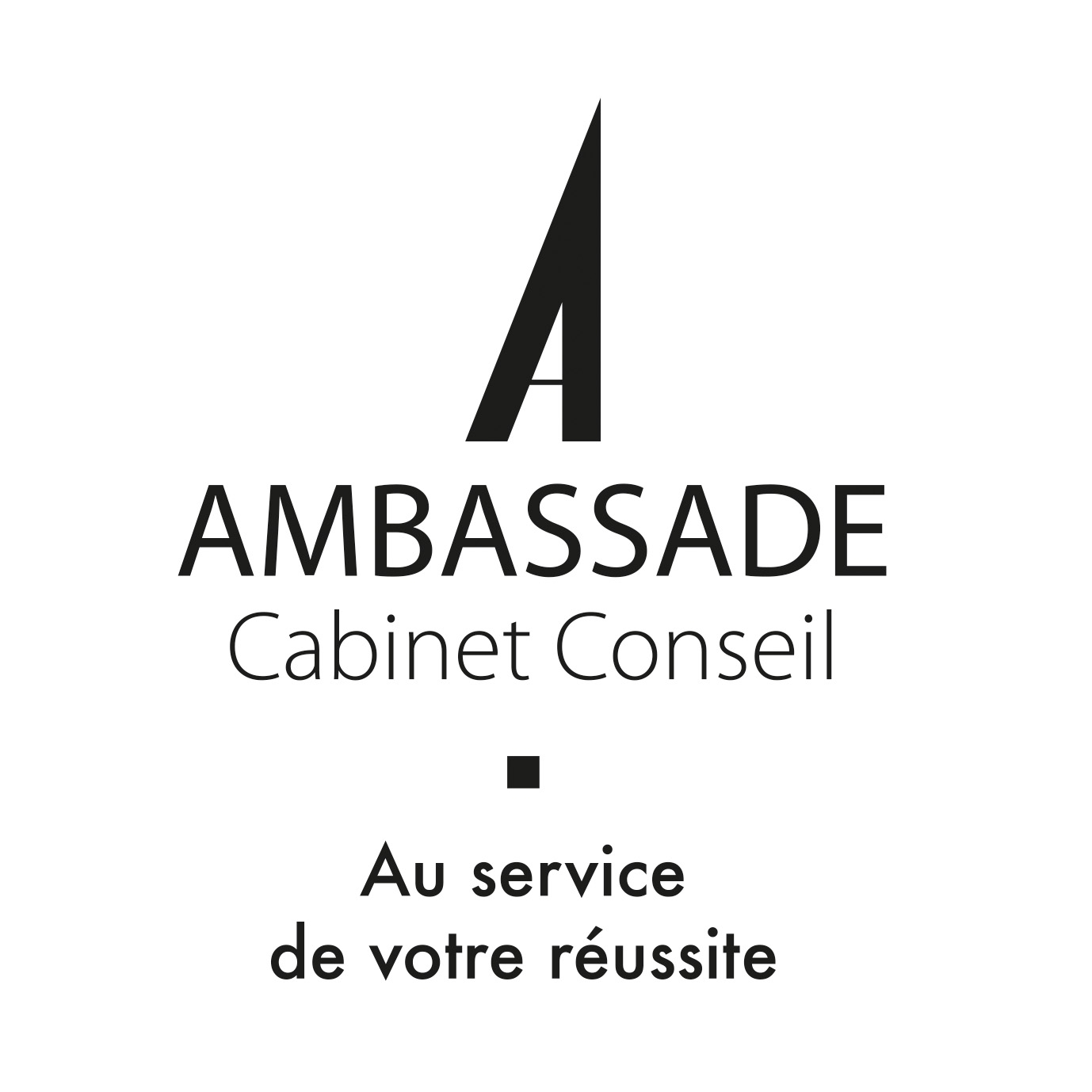 Ambassade Cabinet Conseil