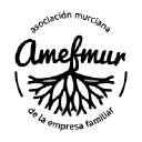 Asociación Murciana de la Empresa Familiar (AMEFMUR