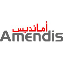 Amendis Company