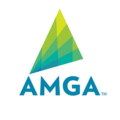 American Medical Group Association