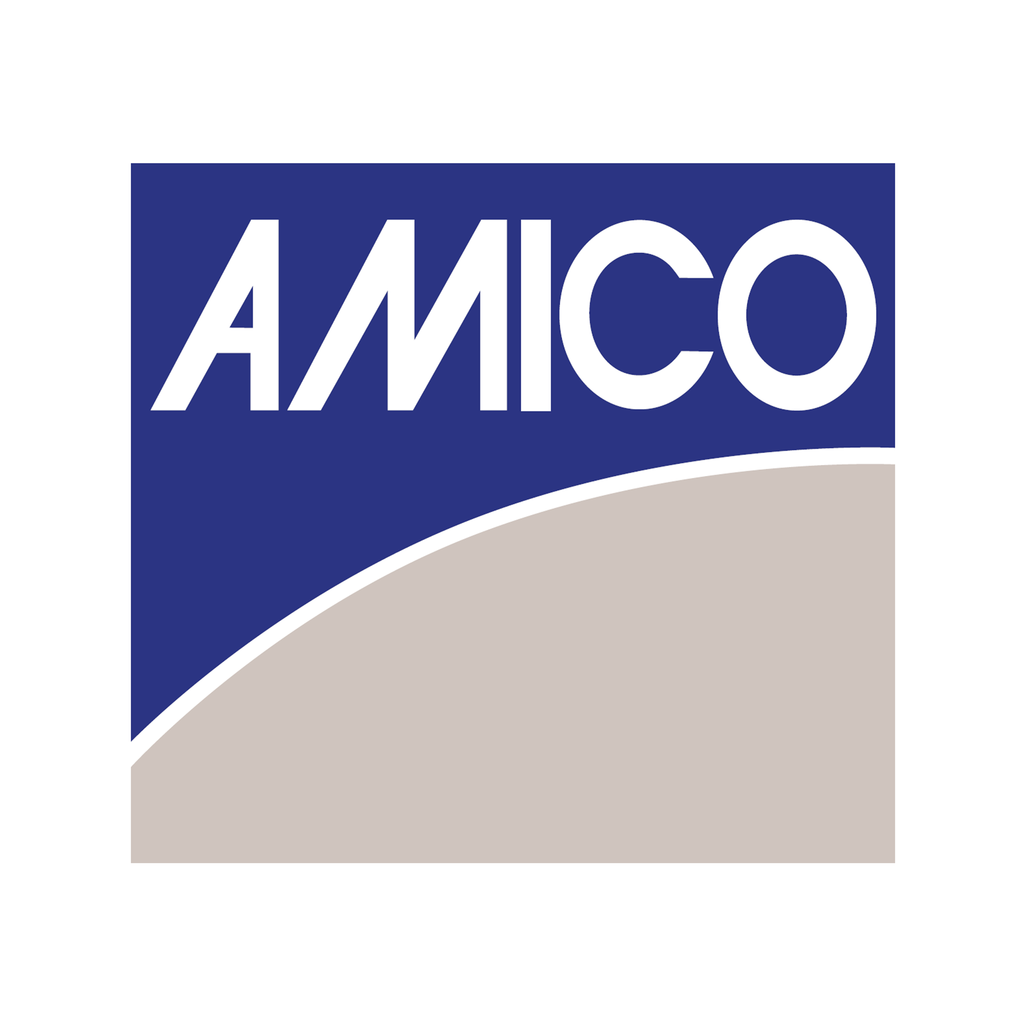 Amico Group