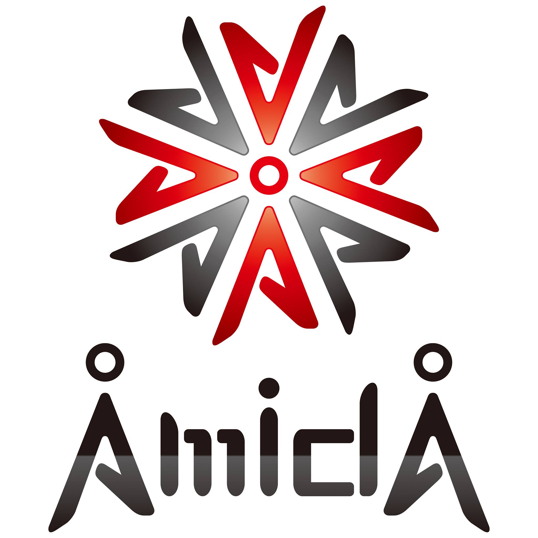 AmidA Holdings