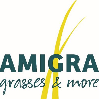 Amigra