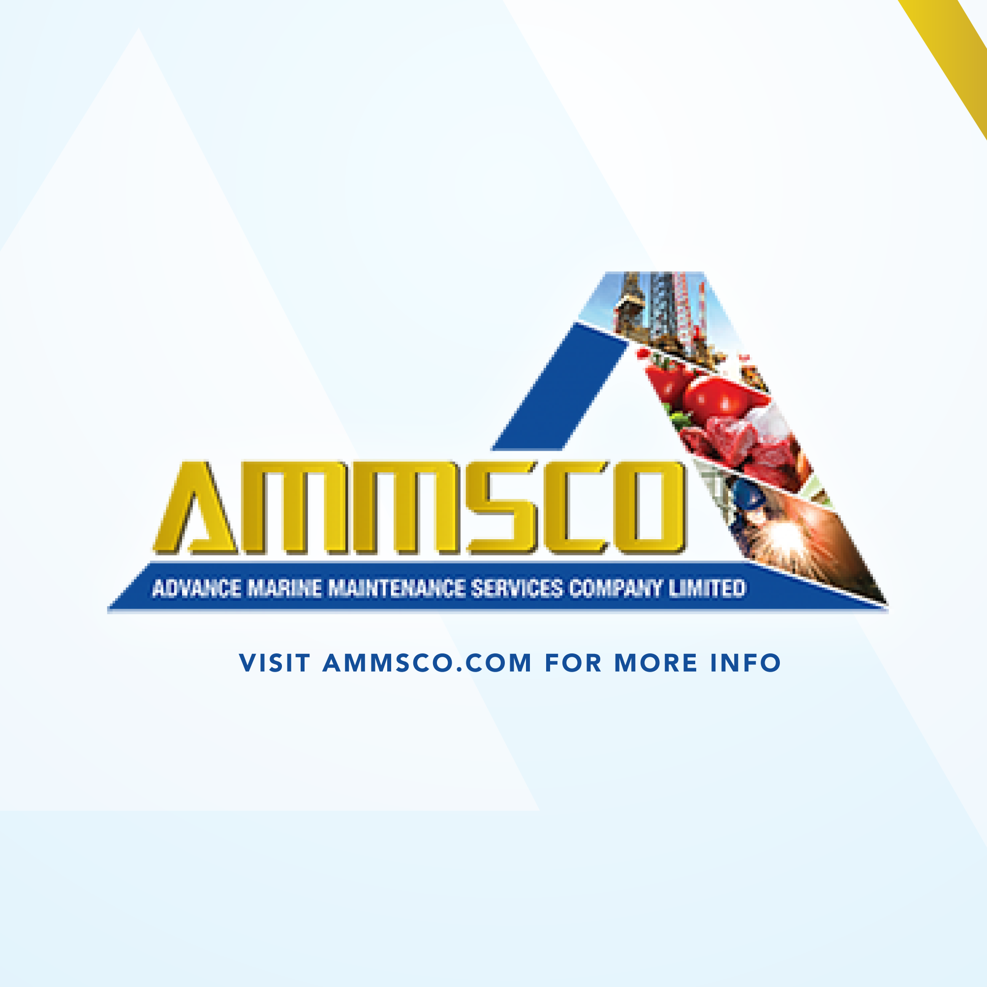 AMMSCO