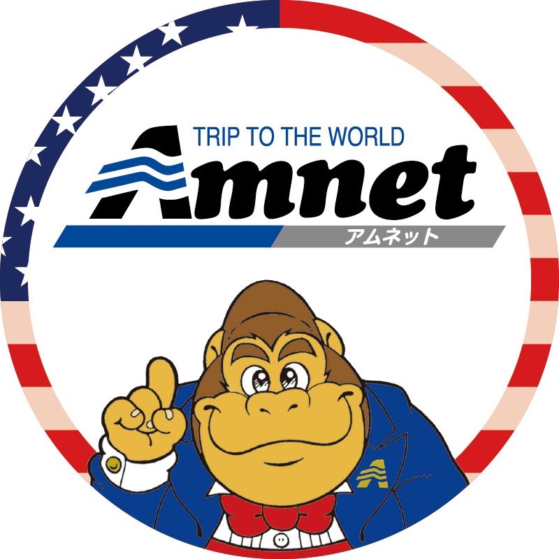 Amnet New York