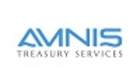 AMNIS Treasury Services