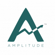 Amplitude Consulting